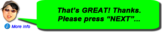 _hover_text='Brilliant! Now, we look at the bank info, please click "NEXT".'